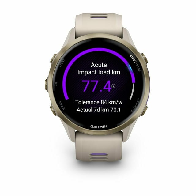 Товар Часы Garmin Forerunner 970 French Grey, AMOLED, 010-02969-12