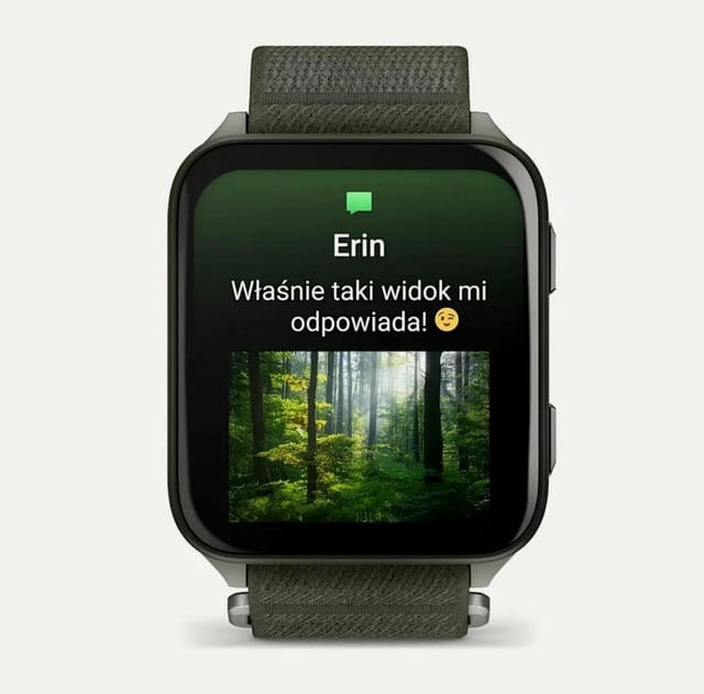 Товар Умные часы Garmin Venu X1, 46 мм, зелёный корпус/серый ремешок (010-02980-03)